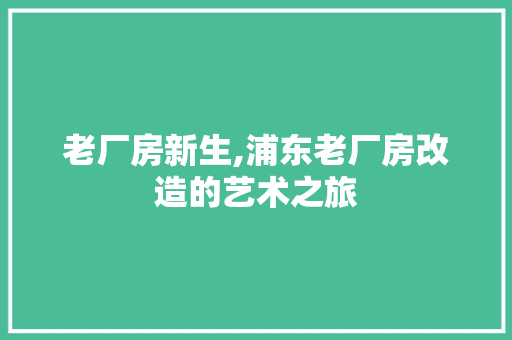 老厂房新生,浦东老厂房改造的艺术之旅