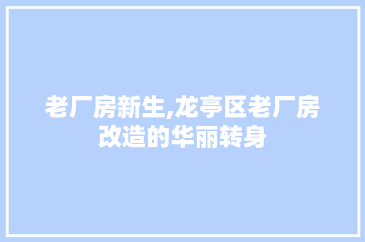 老厂房新生,龙亭区老厂房改造的华丽转身