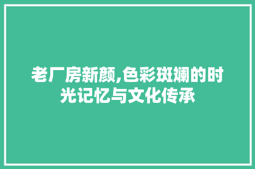 老厂房新颜,色彩斑斓的时光记忆与文化传承