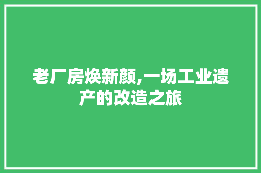 老厂房焕新颜,一场工业遗产的改造之旅