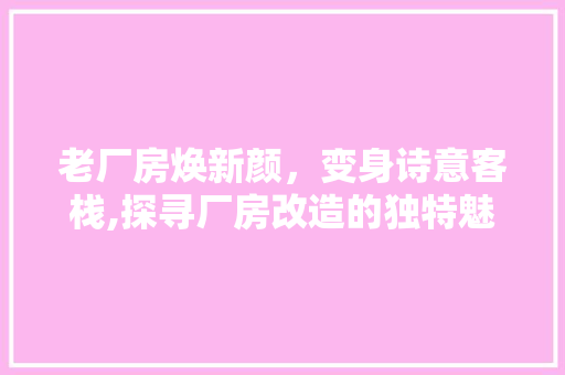 老厂房焕新颜，变身诗意客栈,探寻厂房改造的独特魅力