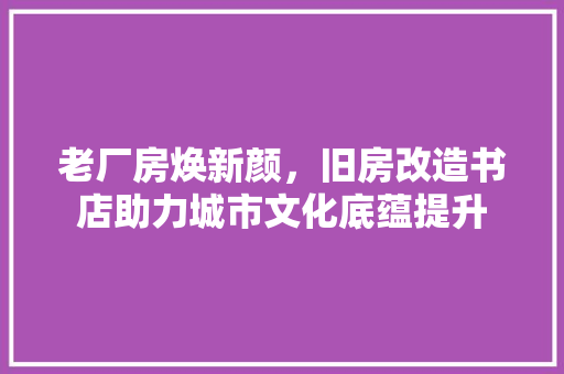 老厂房焕新颜，旧房改造书店助力城市文化底蕴提升