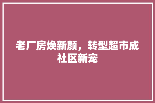 老厂房焕新颜，转型超市成社区新宠
