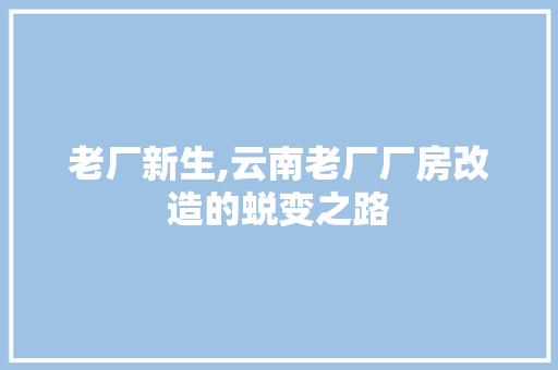 老厂新生,云南老厂厂房改造的蜕变之路