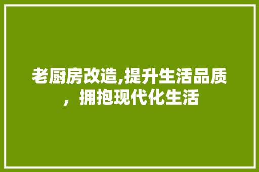 老厨房改造,提升生活品质，拥抱现代化生活 居家维修
