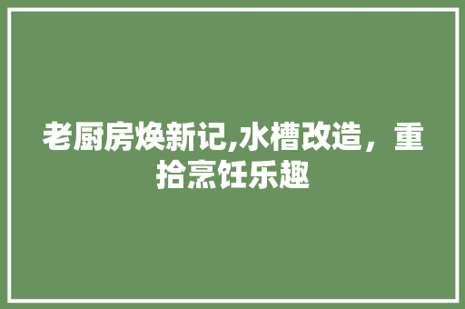 老厨房焕新记,水槽改造，重拾烹饪乐趣
