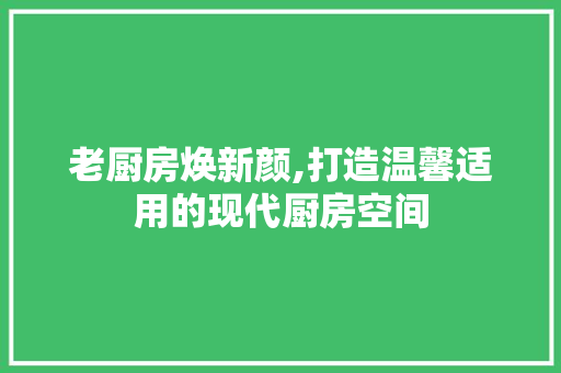 老厨房焕新颜,打造温馨适用的现代厨房空间