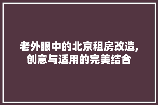 老外眼中的北京租房改造,创意与适用的完美结合