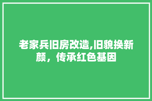 老家兵旧房改造,旧貌换新颜，传承红色基因