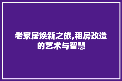 老家居焕新之旅,租房改造的艺术与智慧