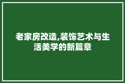 老家房改造,装饰艺术与生活美学的新篇章