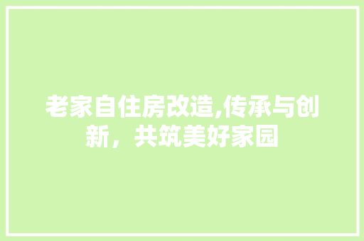 老家自住房改造,传承与创新，共筑美好家园