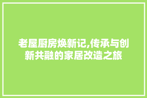 老屋厨房焕新记,传承与创新共融的家居改造之旅