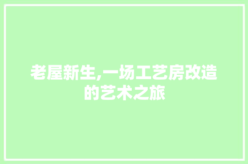 老屋新生,一场工艺房改造的艺术之旅