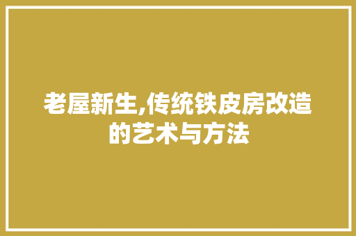 老屋新生,传统铁皮房改造的艺术与方法