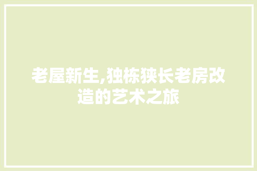 老屋新生,独栋狭长老房改造的艺术之旅