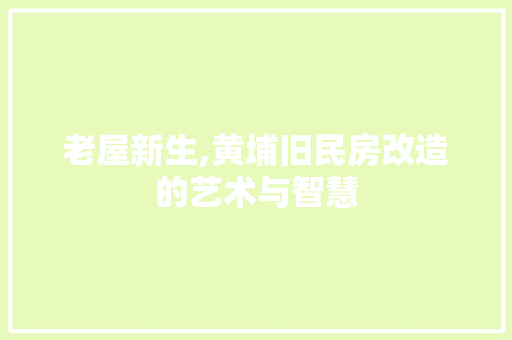 老屋新生,黄埔旧民房改造的艺术与智慧