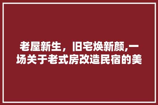 老屋新生，旧宅焕新颜,一场关于老式房改造民宿的美丽蜕变 墙体维修