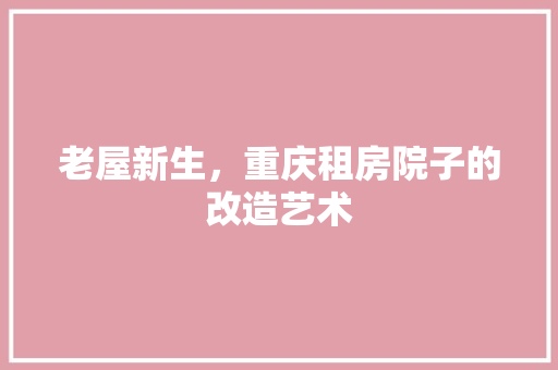 老屋新生，重庆租房院子的改造艺术