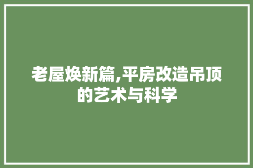 老屋焕新篇,平房改造吊顶的艺术与科学