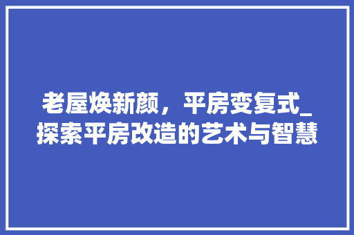 老屋焕新颜，平房变复式_探索平房改造的艺术与智慧