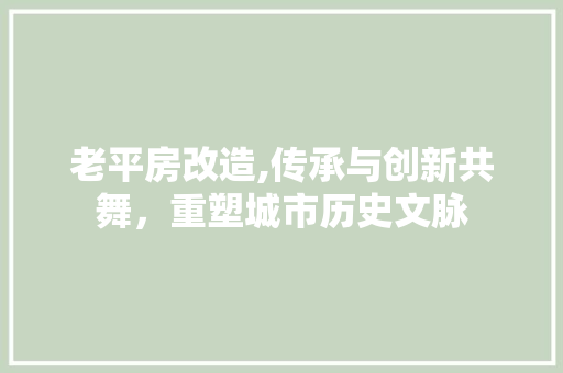 老平房改造,传承与创新共舞，重塑城市历史文脉