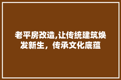 老平房改造,让传统建筑焕发新生，传承文化底蕴