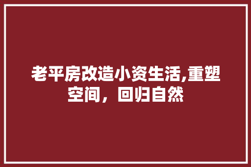 老平房改造小资生活,重塑空间，回归自然