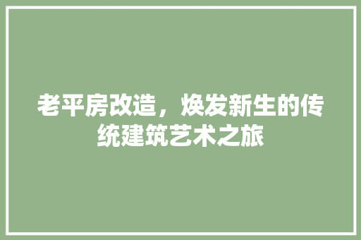 老平房改造，焕发新生的传统建筑艺术之旅