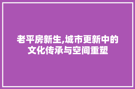 老平房新生,城市更新中的文化传承与空间重塑