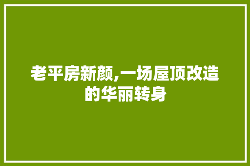 老平房新颜,一场屋顶改造的华丽转身