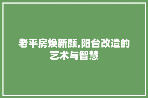 老平房焕新颜,阳台改造的艺术与智慧