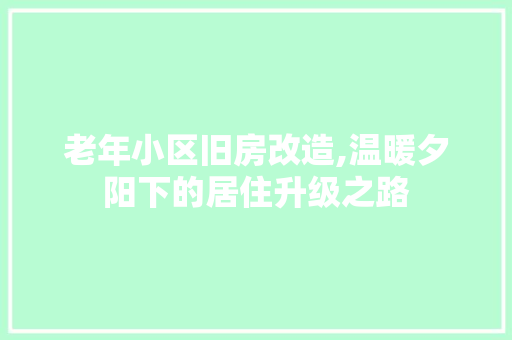 老年小区旧房改造,温暖夕阳下的居住升级之路