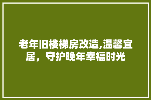 老年旧楼梯房改造,温馨宜居，守护晚年幸福时光 家电维修