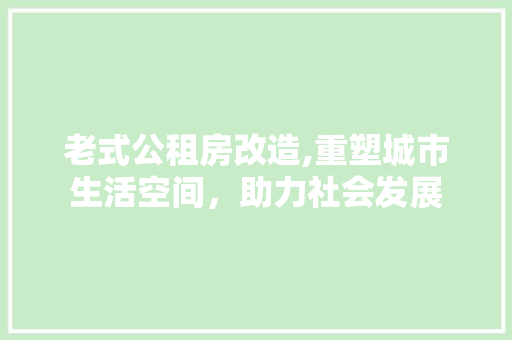 老式公租房改造,重塑城市生活空间，助力社会发展