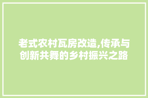 老式农村瓦房改造,传承与创新共舞的乡村振兴之路