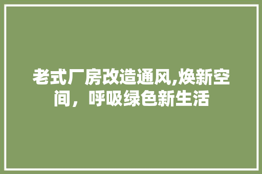 老式厂房改造通风,焕新空间，呼吸绿色新生活
