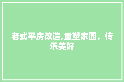 老式平房改造,重塑家园，传承美好