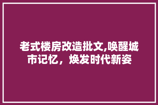 老式楼房改造批文,唤醒城市记忆，焕发时代新姿