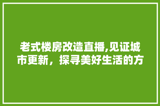 老式楼房改造直播,见证城市更新，探寻美好生活的方法