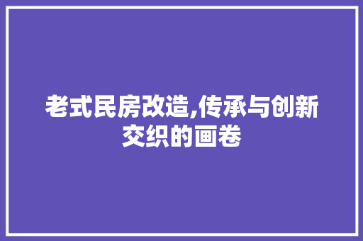 老式民房改造,传承与创新交织的画卷