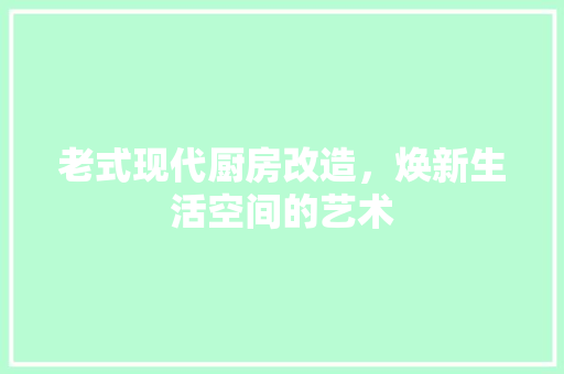 老式现代厨房改造，焕新生活空间的艺术