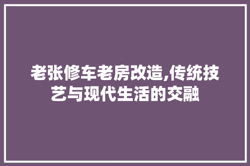 老张修车老房改造,传统技艺与现代生活的交融