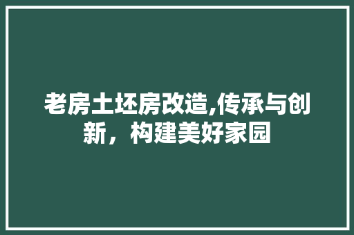 老房土坯房改造,传承与创新，构建美好家园