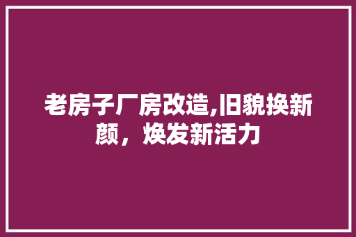 老房子厂房改造,旧貌换新颜，焕发新活力