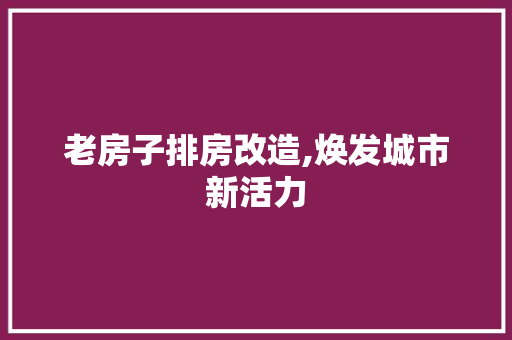 老房子排房改造,焕发城市新活力