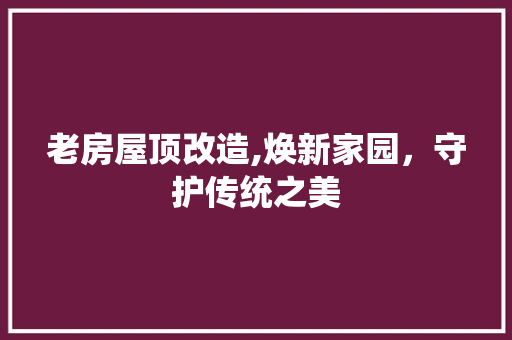 老房屋顶改造,焕新家园，守护传统之美
