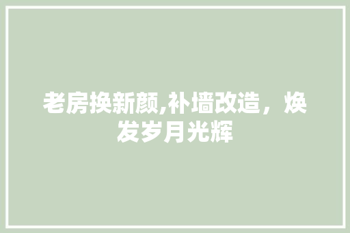 老房换新颜,补墙改造，焕发岁月光辉