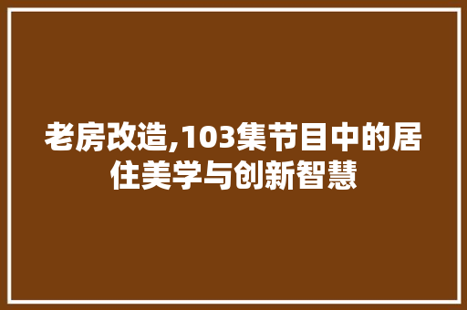老房改造,103集节目中的居住美学与创新智慧