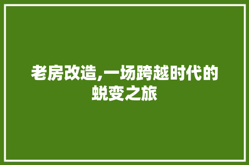 老房改造,一场跨越时代的蜕变之旅